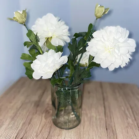 Cosy Angevin - Joli Petit Apartment