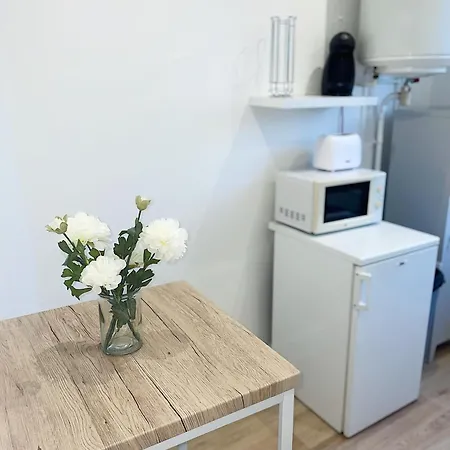 Cosy Angevin - Joli Petit Apartment Angers