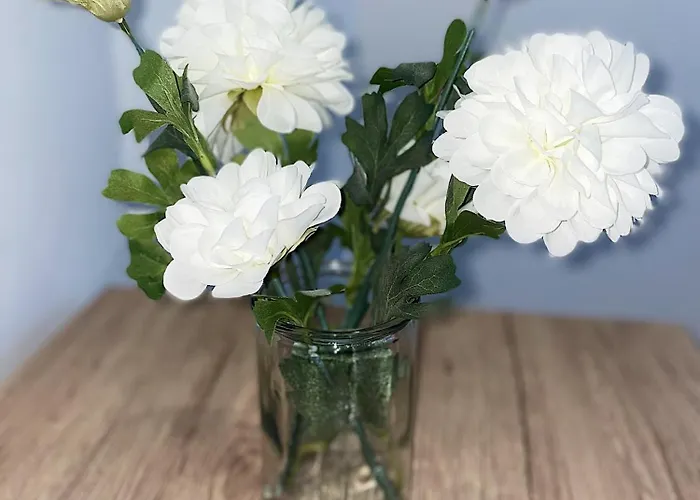 Cosy Angevin - Joli Petit Daire