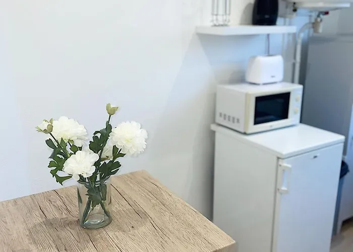 Cosy Angevin - Joli Petit Daire Angers